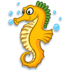 Seahorses